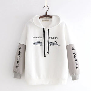 Cute Kawaii Cat Hoodie  AD21238