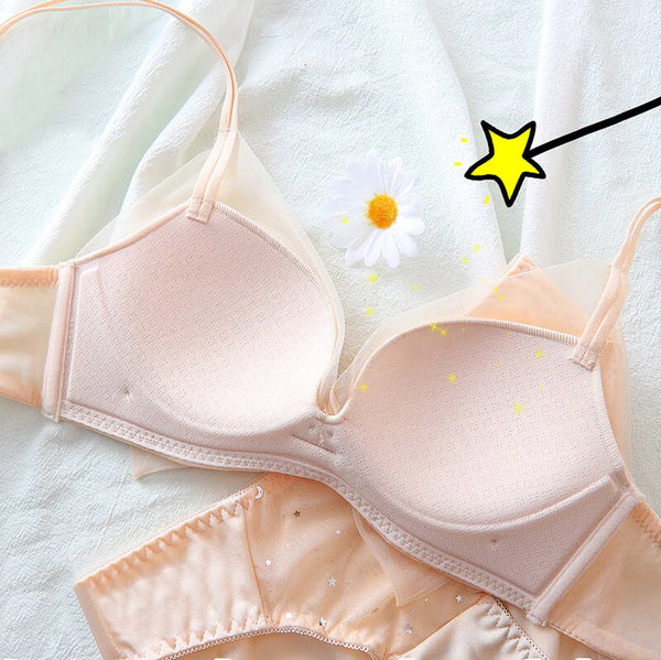 Star Lace Bow Underwear Set  AD21295