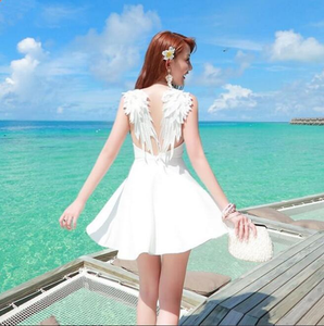Backless Lace Angel Wings Dress AD0008